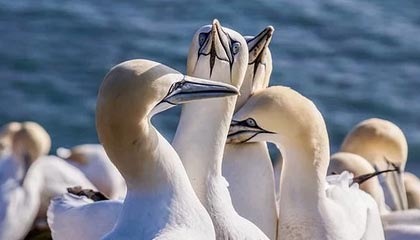 Kaiyun(中国)开云-中国羽毛球青训赛爆出黑马，16岁少年一战成名，青少年羽毛球赛事