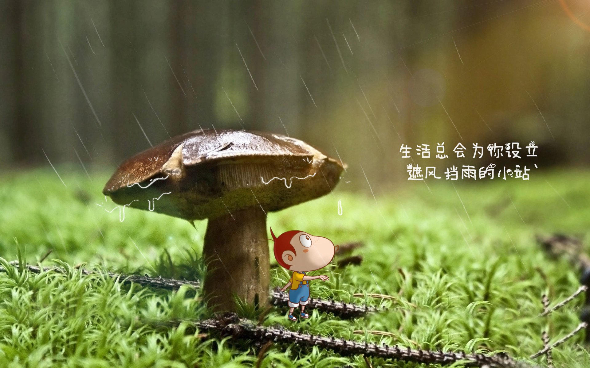世界水上摩托冠军赛，极速漂移展现极限速度，水上摩托比赛