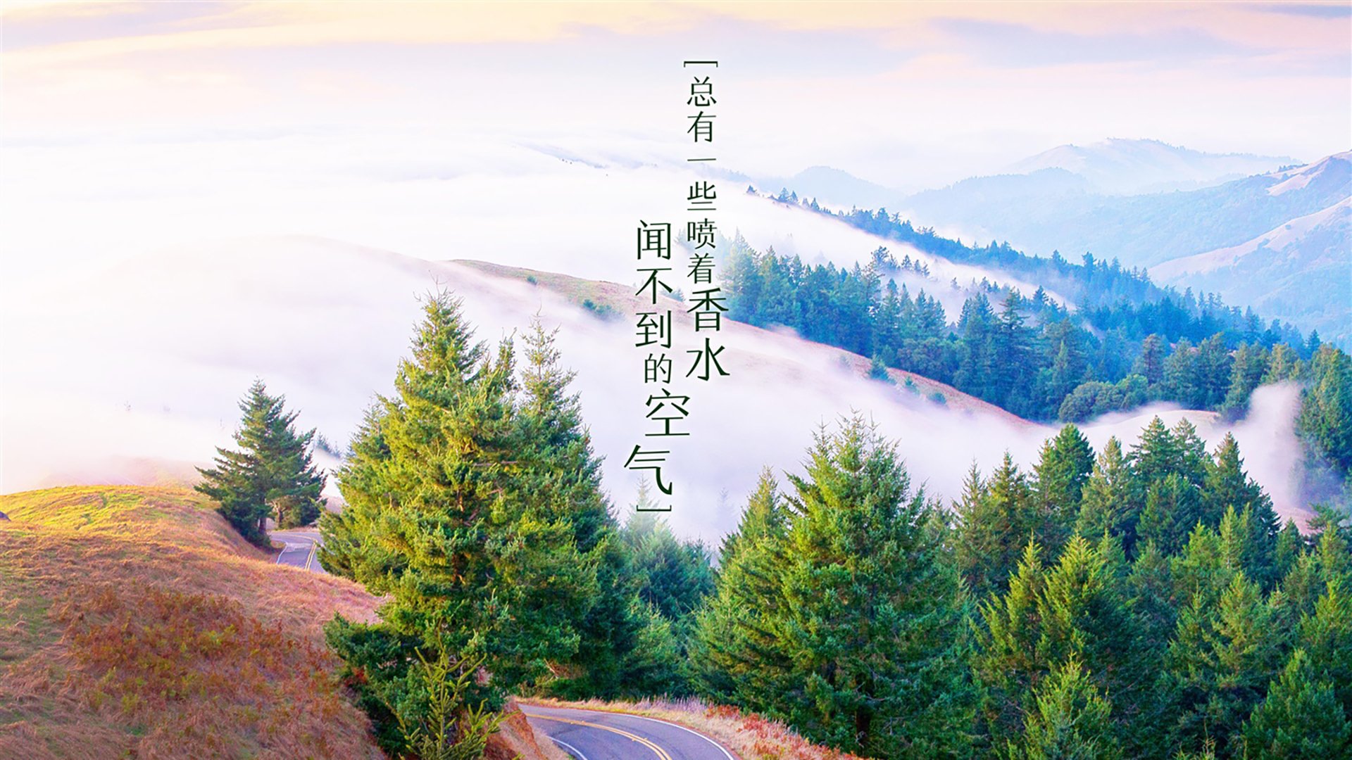 大型星空下的夜跑节，照亮心中的运动梦想，大型夜跑活动