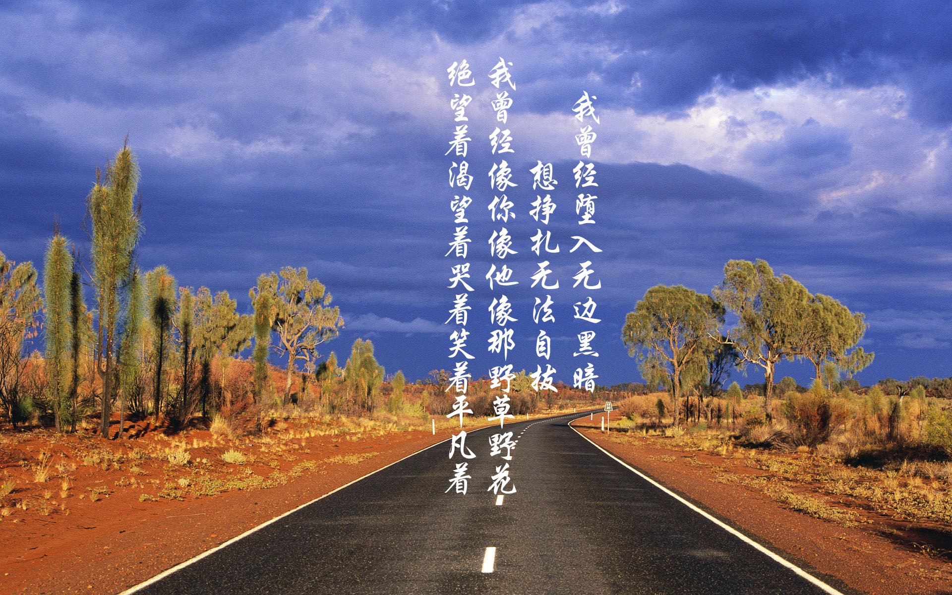 球员成长记：从菜鸟到联盟中坚的奋斗之路，球员成长怎么弄