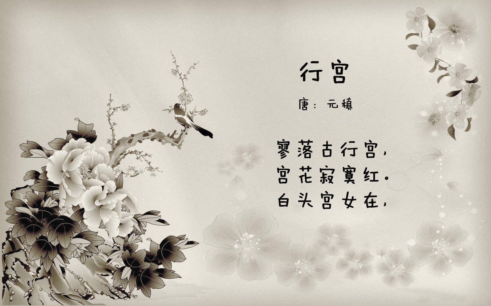 禁区之战：内线球员的拼抢精彩回顾，禁区足球