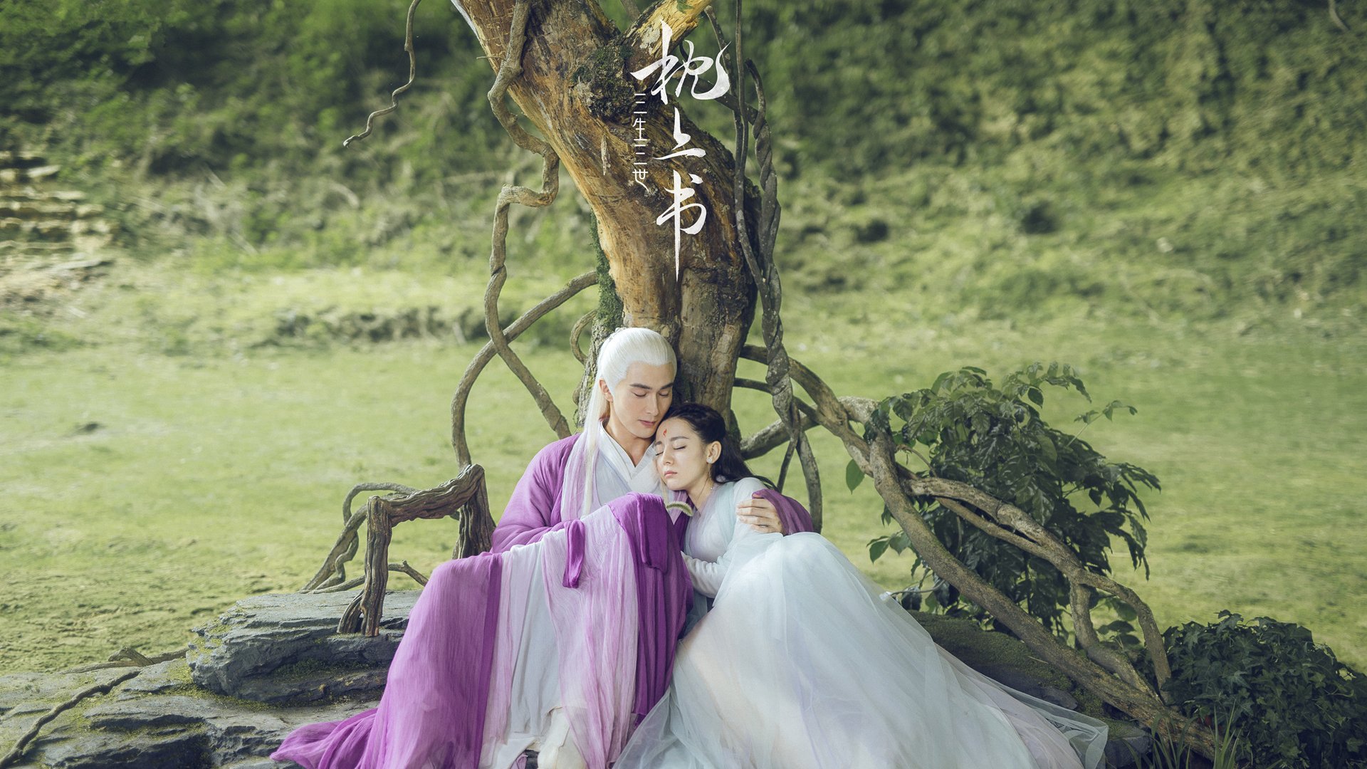 篮球明星效应促进赛事观众增长，篮球明星知识