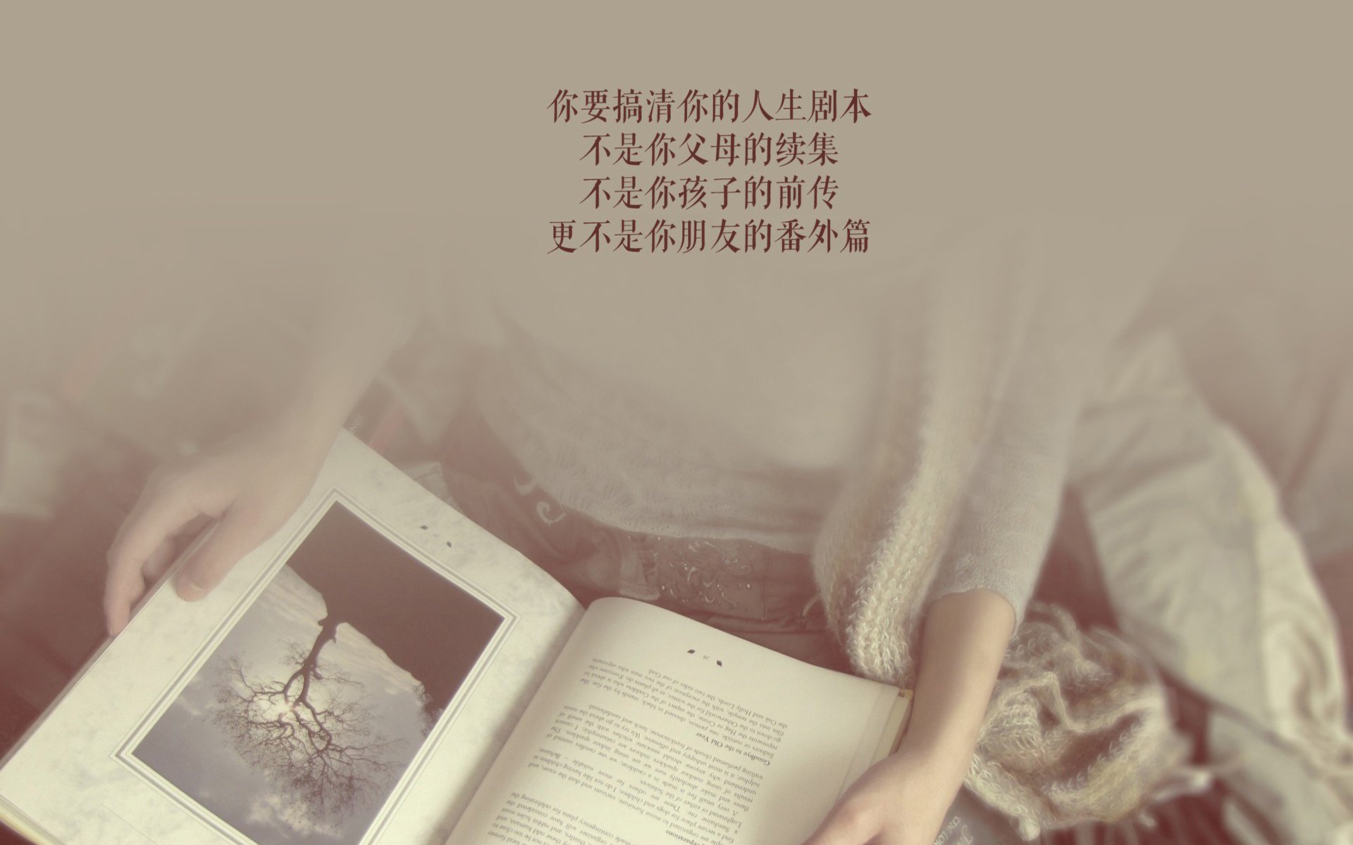 TES上线实时数据公开页面，提升比赛透明度，tes有冠军吗