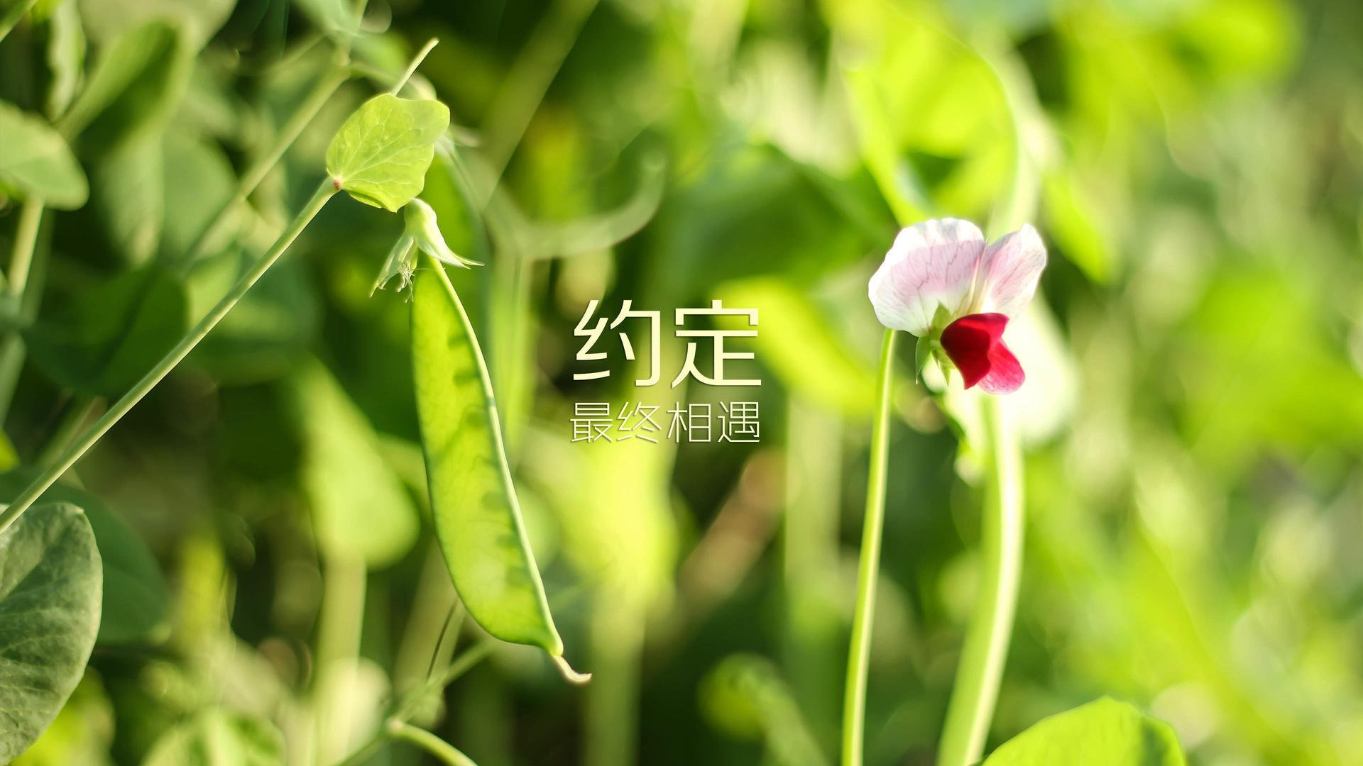 RNG选手社交媒体活跃，rng人气