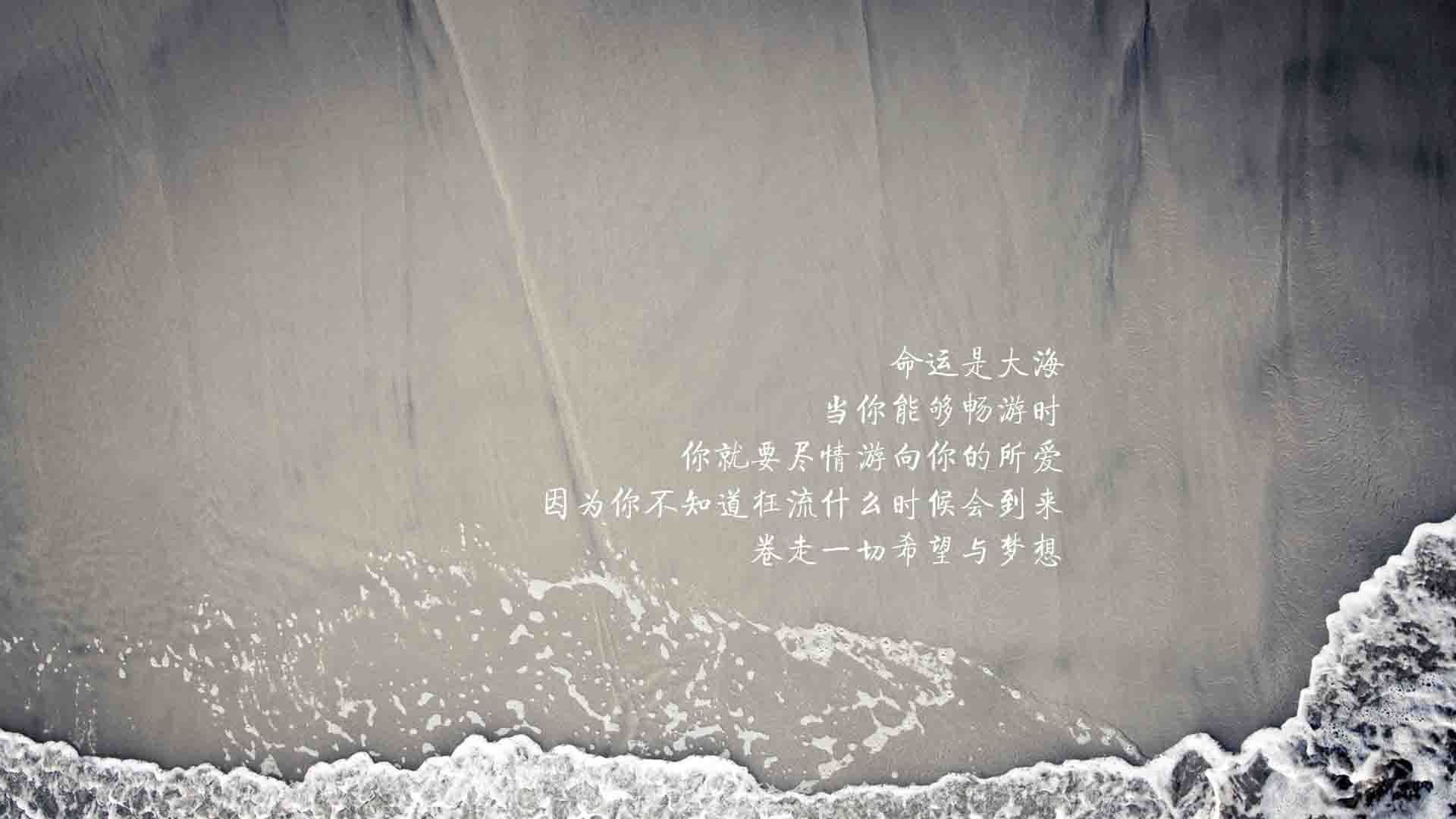 同曦队比赛策略灵活多变，同曦队队员名单