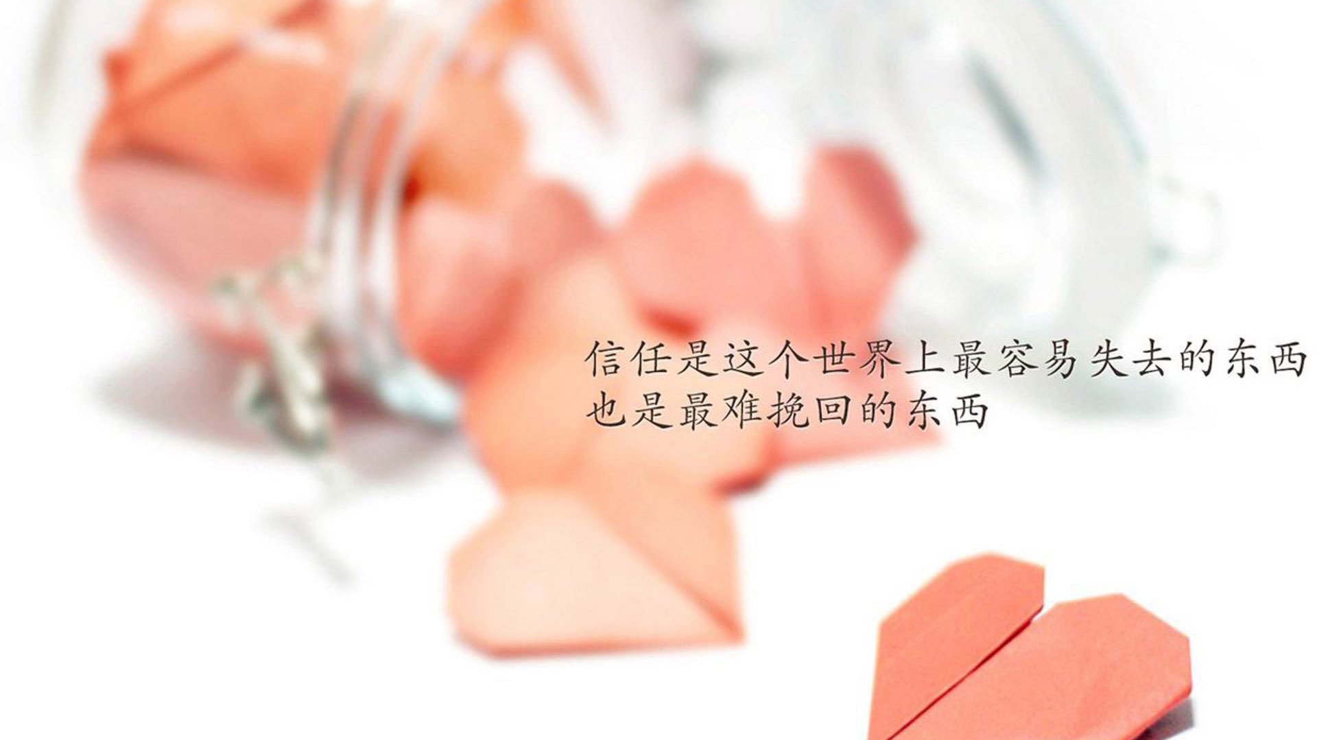 青年队与一线队训练标准是否应高度统一，青年队比赛