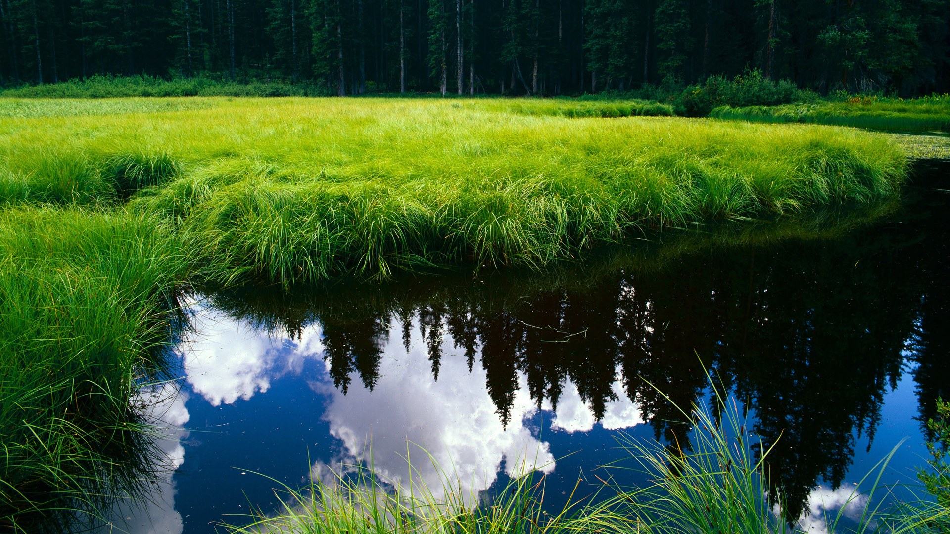 Kaiyun(中国)开云-亚冠联赛中国足球逆袭 球员状态稳定，中国足球亚冠名额