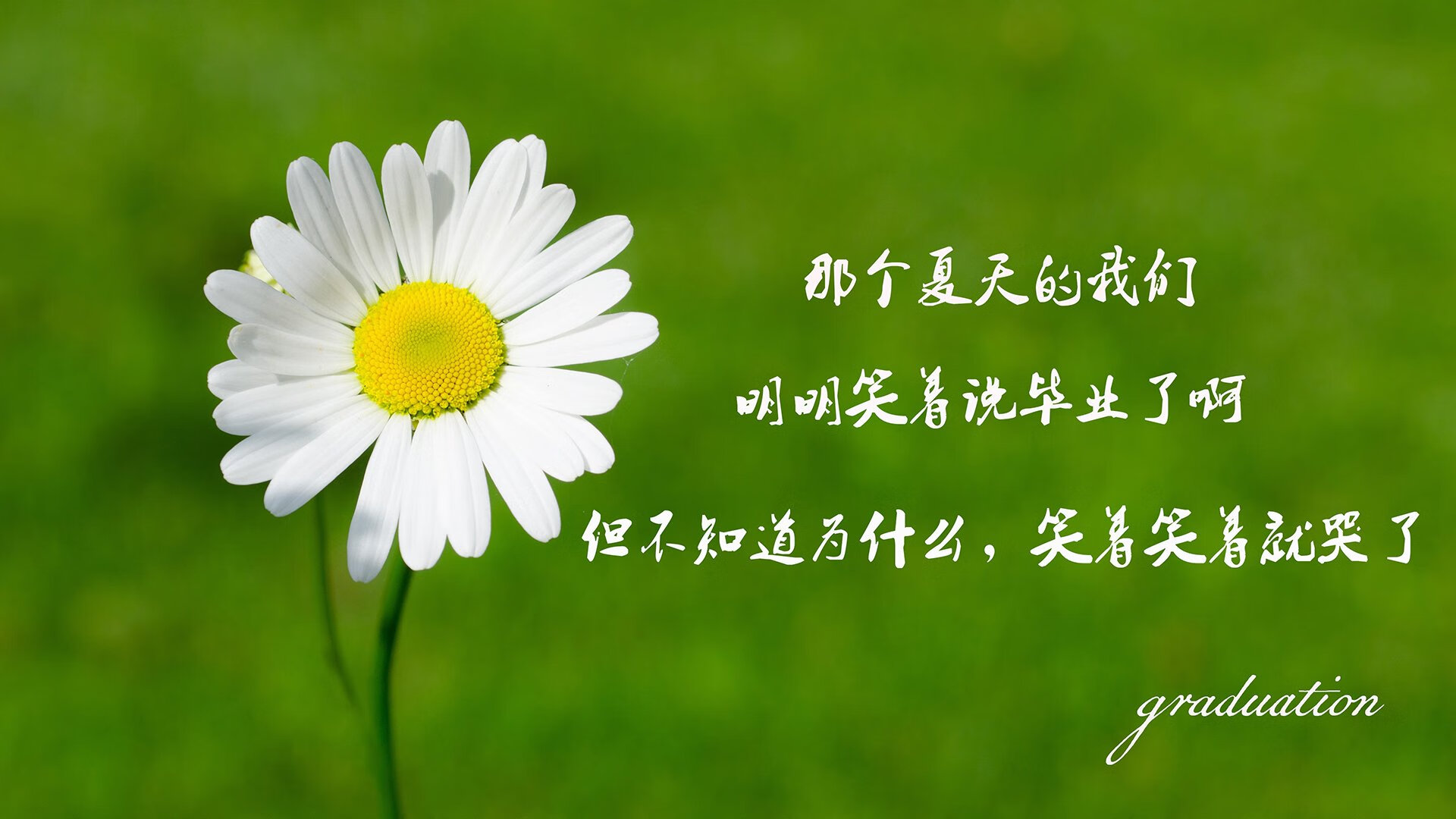 加拿大队赛制解析：如何在复杂赛制中保持比赛的高效性，加拿大赛程500