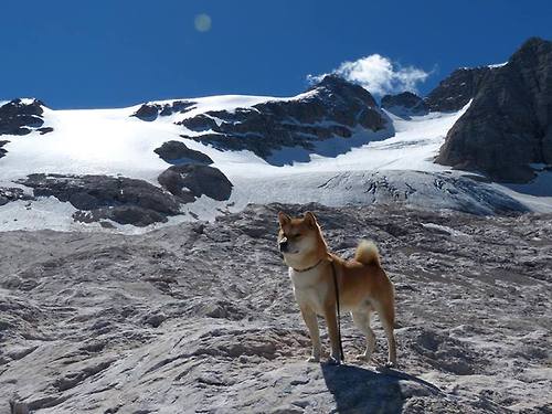 国家队战术决策效率如何提升，国家队战术决策效率如何提升的