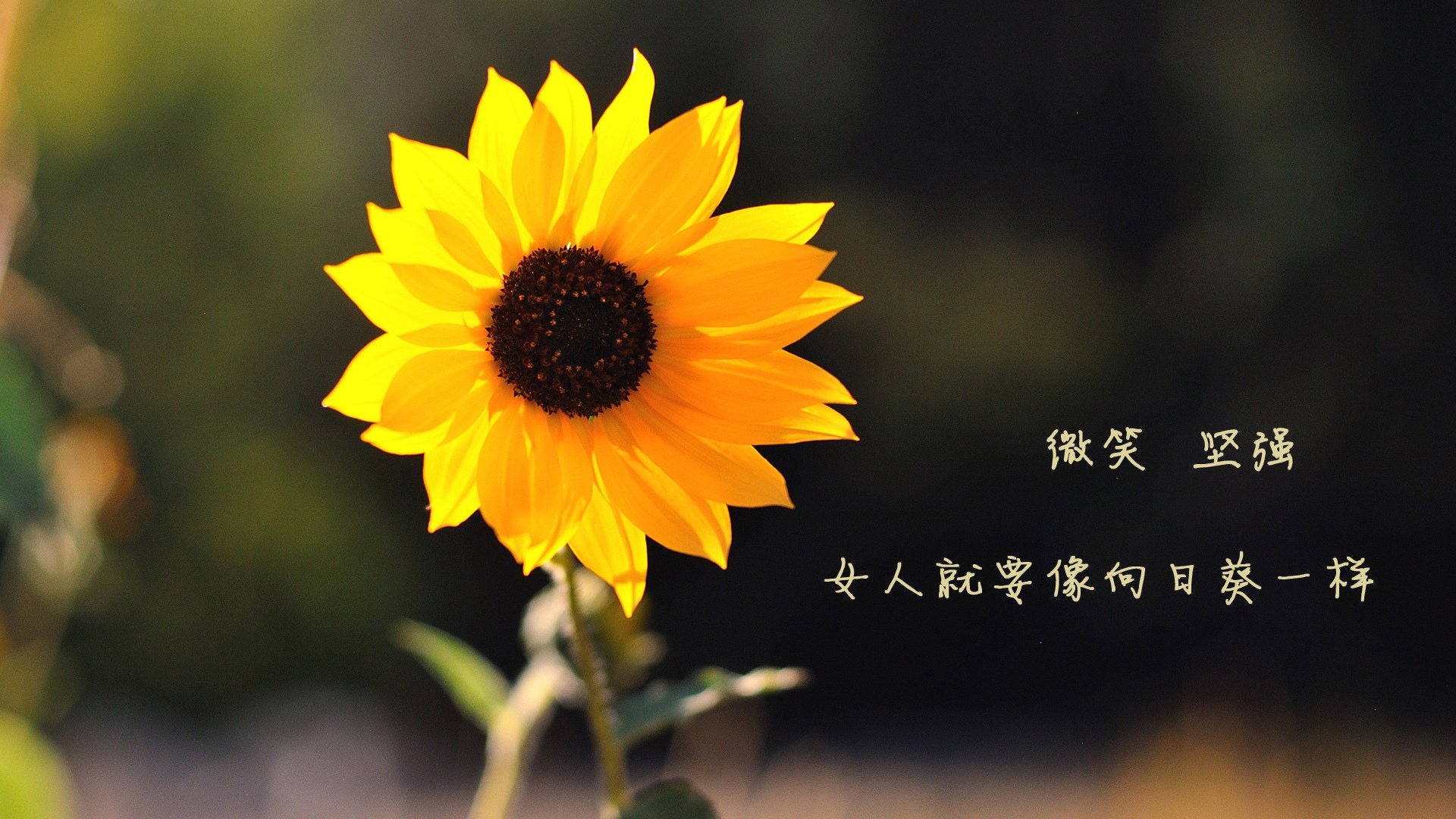 中超推动五人制训练项目提升球员空间掌控能力，中国足球五人制比赛规则