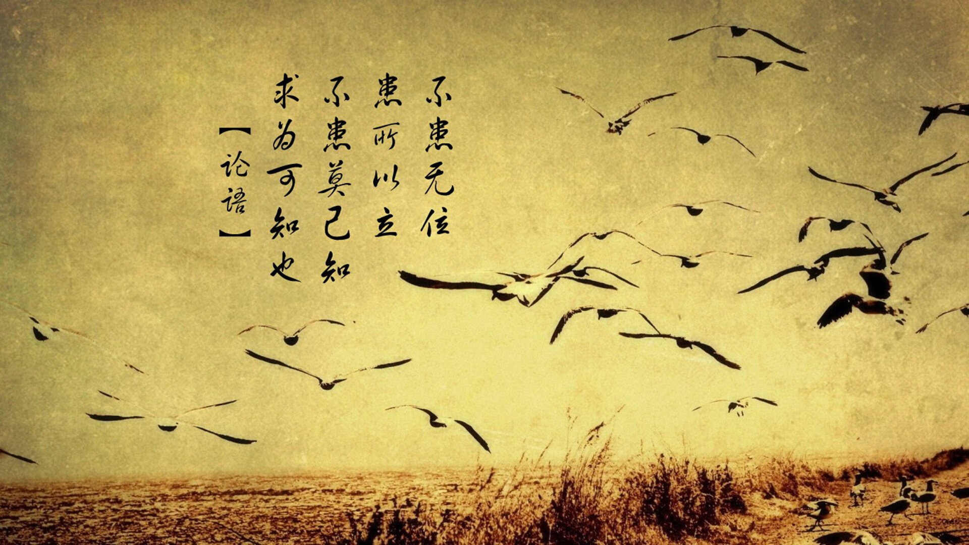 开云中国-青奥会滑板项目中国首获奖牌，奥运会滑板项目金牌