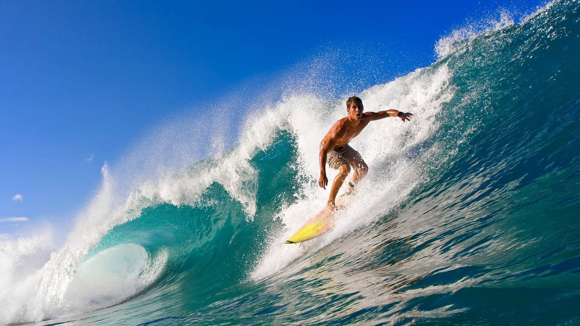 开云·Kaiyun网页版-史上最动人的“冠军誓言”——他们的荣耀故事催人泪下，冠军的荣耀小说